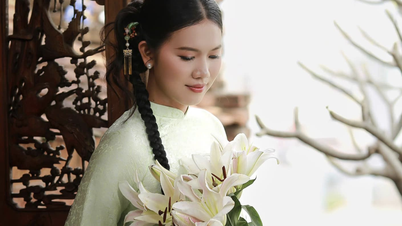Ánh Viên đẹp hút hồn khi diện áo dài đón Xuân Ất Tỵ