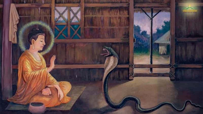 Tết năm Tỵ, nghĩ về hình tượng con rắn trong đạo Phật