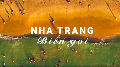 ការហៅទៅកាន់ឆ្នេរ Nha Trang