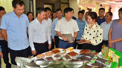 Yen Bai លើកកំពស់ម៉ាកផលិតផលកសិកម្មប្រពៃណី