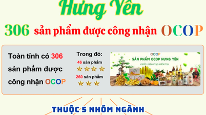 Hung Yen: ផលិតផលជាង 300 ត្រូវបានទទួលស្គាល់ថាជា OCOP