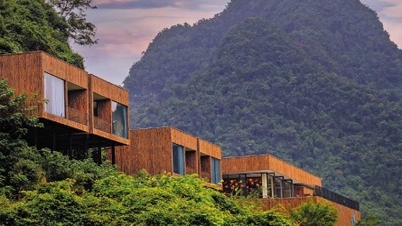 Anziehung von Investitionen im Phong Nha Nationalpark