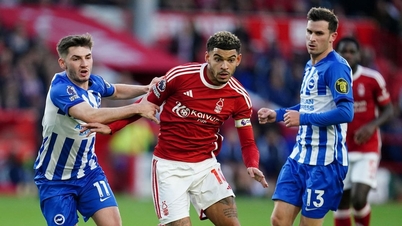 Commentaires et pronostics Nottingham vs Brighton : la dernière minute fatidique