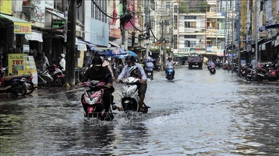 Ca Mau bertindak balas secara proaktif kepada air pasang yang melebihi penggera tahap III