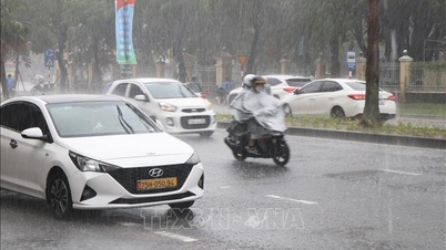 Cảnh báo cao điểm mùa bão và khả năng rét đậm từ nửa cuối tháng 12