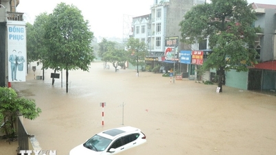 12 Orte, darunter Hai Phong, werden aufgefordert, proaktiv auf starke Regenfälle und Überschwemmungen zu reagieren.