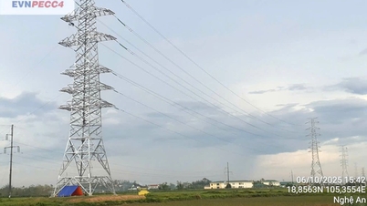 Tập trung đẩy nhanh tiến độ cụm dự án truyền tải phục vụ nhập khẩu điện từ Lào