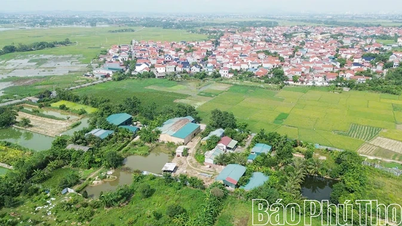 ឃុំ Vinh An លុប​ចោល​ការ​ស្ទះ​ក្នុង​ការ​រំលោភ​ដីធ្លី