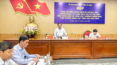 កំណត់តម្រូវការ និងផ្តល់អាទិភាពដល់ធនធាន ដើម្បីអនុវត្តគម្រោងការបង្រៀន 2 វគ្គ/ថ្ងៃ និងវគ្គពាក់កណ្តាល