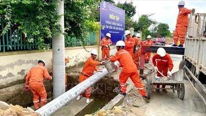 More than 262,000 customers of Northern Power Company were affected by the circulation of storm No. 11.