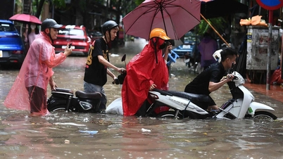 Egy hét után Hanoi megtanulta a leckét.