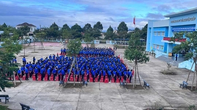Làm rõ hành vi cố ý gây thương tích và gây rối trật tự công cộng tại Trường THPT Võ Nguyên Giáp