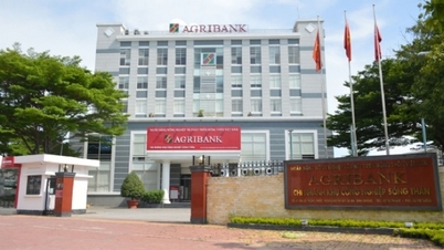 Zahlreiche Verstöße im Agribank Song Than Industriepark