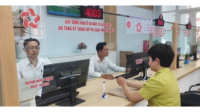 Da Nang melancarkan kempen 90 hari untuk melengkapkan pangkalan data tanah