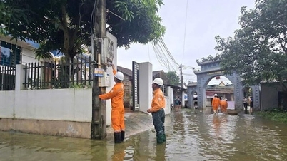 أعادت شركة EVNHANOI الكهرباء إلى أكثر من 5,500/13,943 عميلًا.