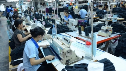 In trouble, a garment company has moved to pickleball and is selling land worth hundreds of billions in Ba Ria - Vung Tau.