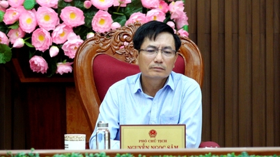 UBND tỉnh họp về giao chủ đầu tư các dự án tại các xã, phường phía Tây