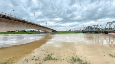 Se emitió la alarma número III en el río Thuong