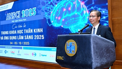 ANSCI 2025-Konferenz: Update zu Fortschritten in der Neurowissenschaft