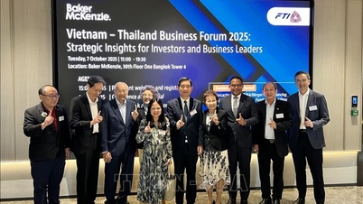 Companiile vietnameze și thailandeze își propun un viitor prosper, verde și sustenabil