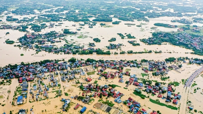Tập trung ứng phó, khắc phục hậu quả cơn bão số 11