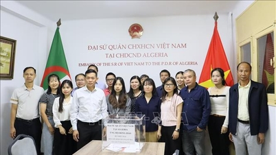 Die vietnamesische Botschaft in Algerien hat eine Spendenaktion zur Unterstützung der Flutopfer im Land gestartet.