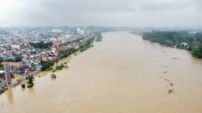 Lũ đặc biệt lớn trên sông Cầu, sông Thương