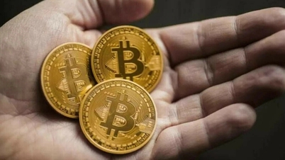 5 распространенных мошенничеств с криптовалютой