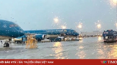 ในช่วง 9 เดือนแรกของปี เที่ยวบินนับพันเที่ยวถูกยกเลิกเนื่องจากพายุ