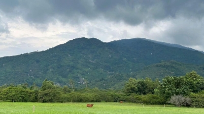 Dong Nai : Vente aux enchères de 100 hectares de terres dans la montagne Chua Chan
