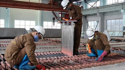 Tiêu chí phân loại doanh nghiệp nhà nước, doanh nghiệp có vốn nhà nước thực hiện chuyển đổi sở hữu, sắp xếp lại
