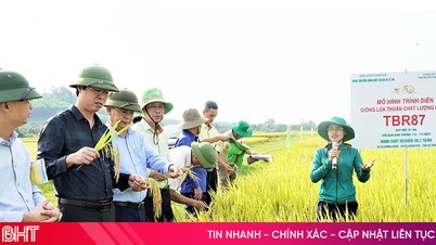 Sắp xếp, tinh giản hơn 35.000 cán bộ khuyến nông cả nước