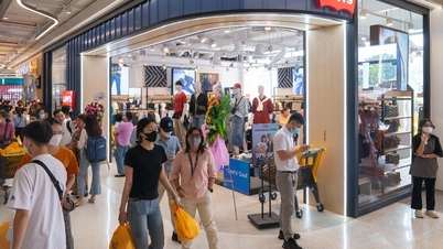 Competencia nacional e internacional: el mercado de centros comerciales alcanza un nuevo clímax