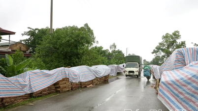 Бізнес проактивно реагує на шторми