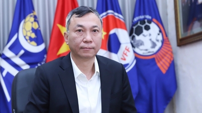 VFF 회장인 Tran Quoc Tuan은 FIFA로부터 새로운 임무를 받았습니다.