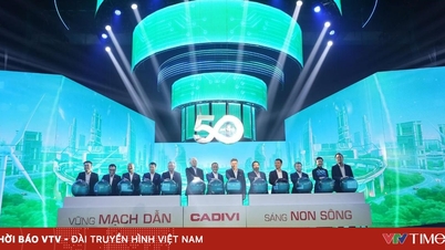 CADIVI celebra 50 anos com o tema "Liderança firme, País mais brilhante"