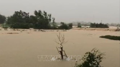 Banjir di Sungai Cau dan Sungai Thuong, Pemerintah Daerah Tanggap Darurat