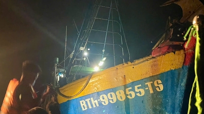 Bắt quả tang 2 tàu giã cào bay vi phạm vùng biển Lâm Đồng