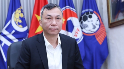 Mr. Tran Quoc Tuan was appointed by FIFA to the National Team Competition Committee for the 2025-2029 term.