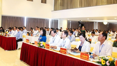 Renewable energy in the Mekong Delta - Breakthrough in green economic development, circular economy