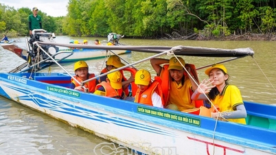Cà Mau: Du lịch đường thủy giai đoạn 2023-2025 ước đạt hơn 15,6 tỷ đồng