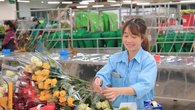 Doanh nghiệp Lâm Đồng kết nối để phát triển bền vững