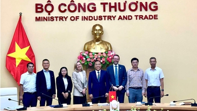 Biträdande minister Nguyen Hoang Long samarbetar med den brittiska ambassadören i Vietnam för att främja energisamarbete.