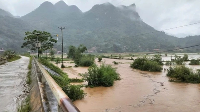 De Cau-rivier heeft te maken gehad met uitzonderlijk grote overstromingen. De premier heeft, op basis van het alarmniveau, onmiddellijk actie ondernomen.