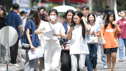 公共サービスポータルを通じて、転校、申請、学生の入学を実施することを目指します。