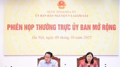 Thường trực Ủy ban Dân nguyện và Giám sát họp phiên mở rộng