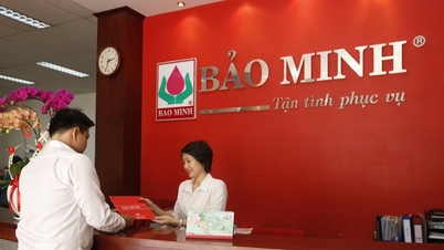 บริษัทประกันภัยยักษ์ใหญ่ บ๋าว มินห์ ทำธุรกิจอย่างไร?