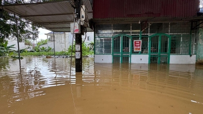 Historische Überschwemmung seit 60 Jahren in Thai Nguyen, Menschen klettern Leitern in den zweiten Stock, um der Flut zu entkommen