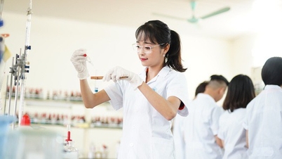 Ra mắt 8 nhóm nghiên cứu mạnh