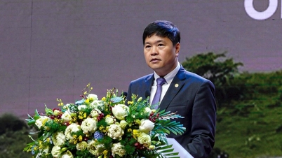 Hai Phong will grüne und nachhaltige Logistik entwickeln